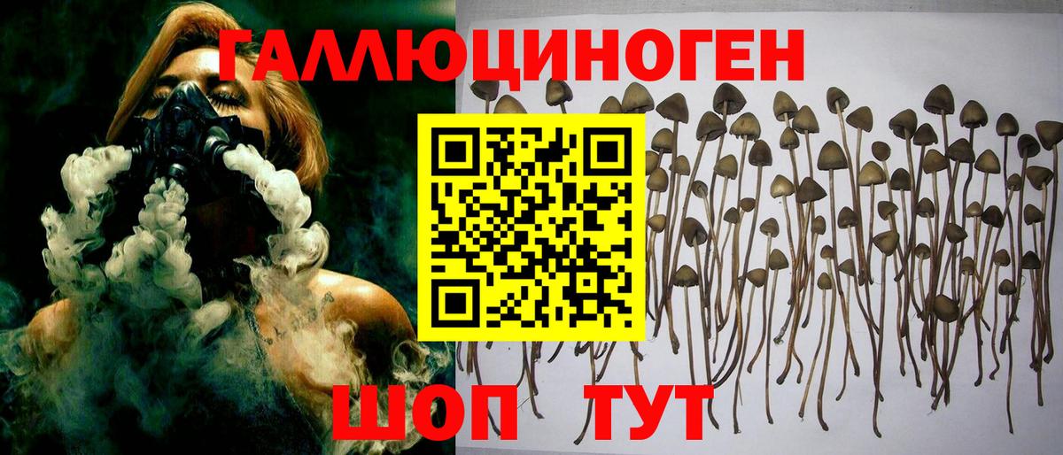 Галлюциногенные грибы MAGIC MUSHROOMS  Галлюциногенные грибы мухоморы  Зеленокумск  Вход с VPN 